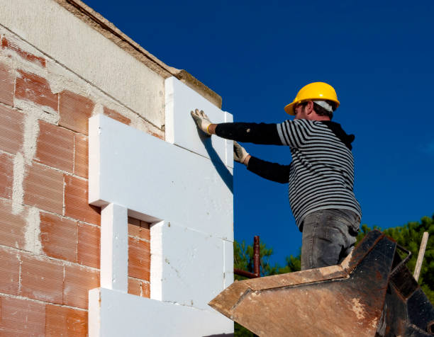 Best Geographic-Specific Insulation Services in Glen Allen, VA